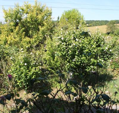 CHAMBRE CHEZ L'HABITANT