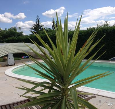 Chambre à louer nord isere