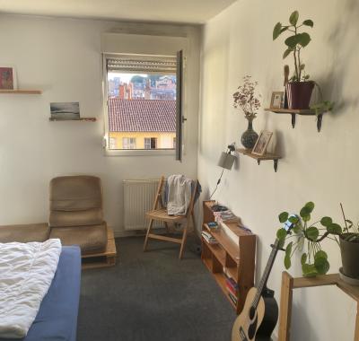 Chambre à louer Lyon 01