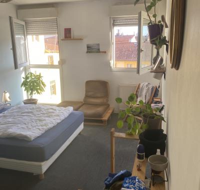 Chambre à louer Lyon 01