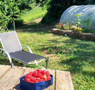 Chambre chez l'habitant
