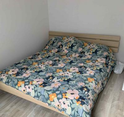 Maison 3 façades 3 chambres double à louer