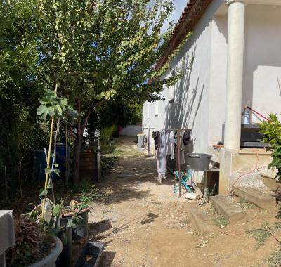 CHAMBRE  SUR ALIGNAN DU VENT