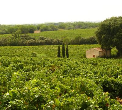CHAMBRE  SUR ALIGNAN DU VENT