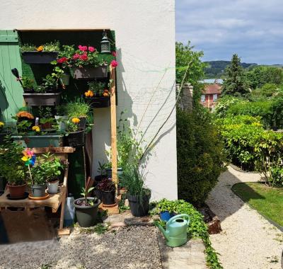 Grande chambre avec salle de bain et wc privatifs dans maison partagée