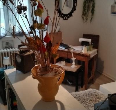 Co location sur le 45