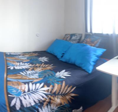 Chambre à louer à Bron pour femmes uniquement