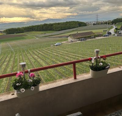 Chambre chez l’habitant