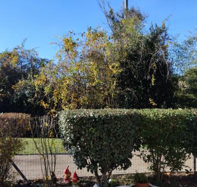 A 5mns A6 /A89,Chambre entre Dombes et Beaujolais  dans appartement