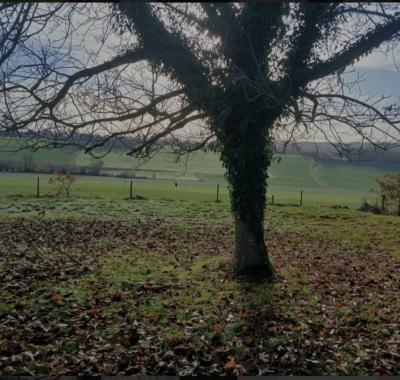 KOT CHEZ L'HABITANT - VILLA NANDRIN