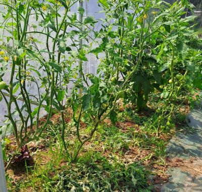 Colocation en centre Bretagne