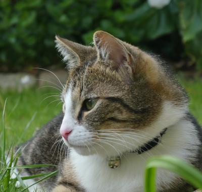 2 chambres dans maison meublée à louer