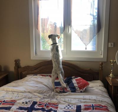 Chambre à louer steenvoorde