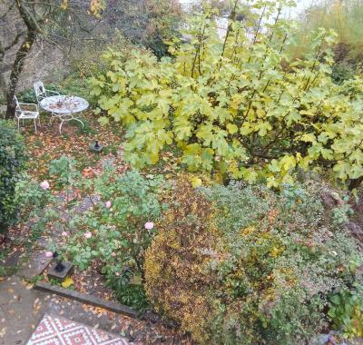 2 Chambres chez l'habitant à louer