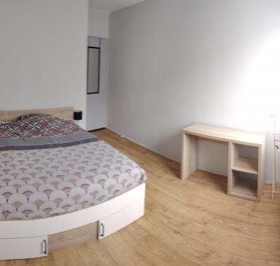 Chambre à louer à Lyon 7e