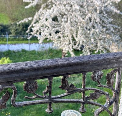 Chambre à louer dans colocation non fumeur