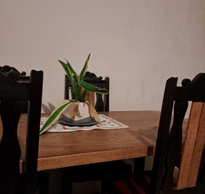 Chambre à louer à Bruz (35170)