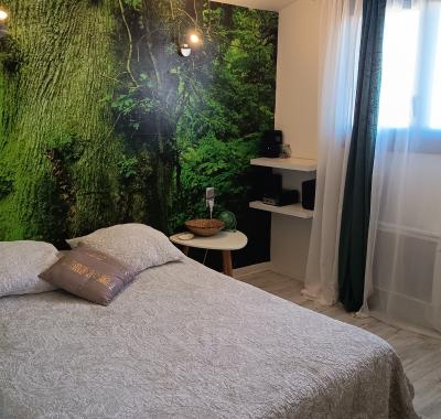 Chambre à louer aux Angles Avignon