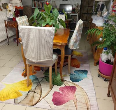 Chambre disponible a vierzon