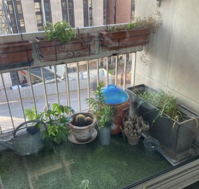 Chambre à louer à Paris