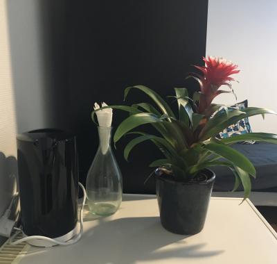 Chambre en ville, Annecy centre