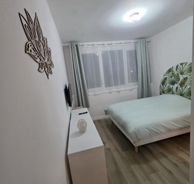 Coloc'cosy annemasse centre