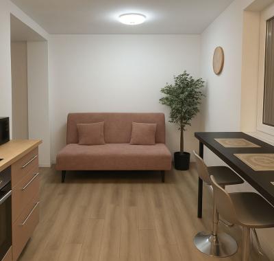 Coloc'cosy annemasse centre