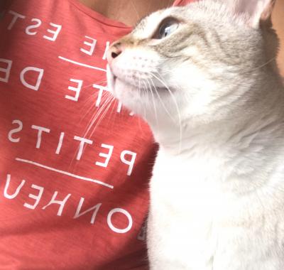 Appartement entier - Bompard 7e