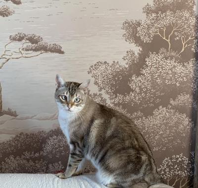 Appartement entier - Bompard 7e