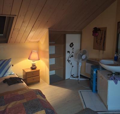 Chambre à louer à Ferney-Voltaire