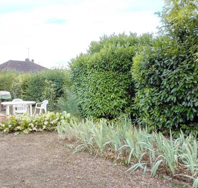 Rez-de-chaussée de pavillon avec jardin