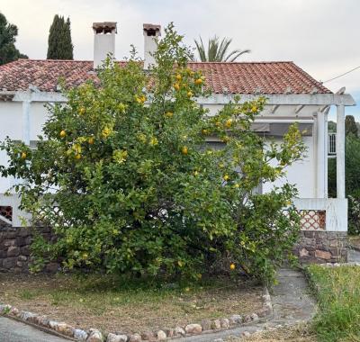 Maison Les Cigales