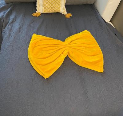 Chambre à louer chez l’habitant à 13min de paris RER A et Disneyland