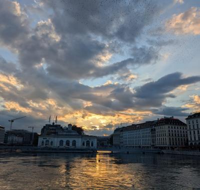 Chambre à louer Genève - Excellente localisation