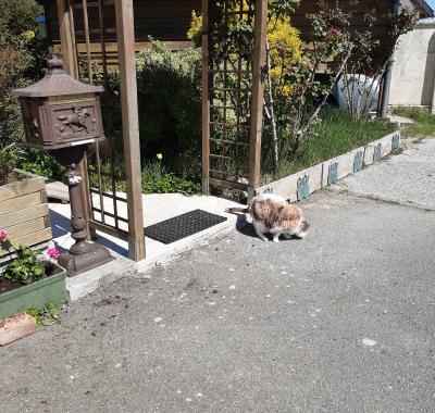 Chambre à louer à 15km de Chartres véhicule nécessaire