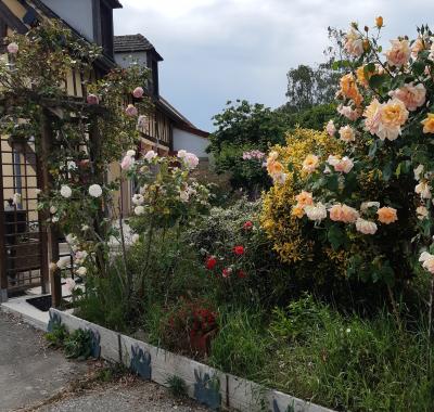Chambre à louer à 15km de Chartres véhicule nécessaire