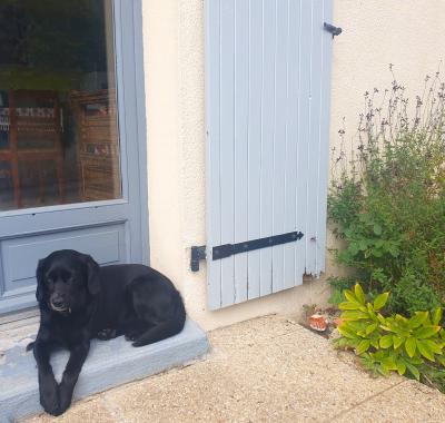 Chambre dans maison familiale