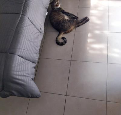 Colocation pour une personne