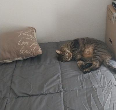 Colocation pour une personne