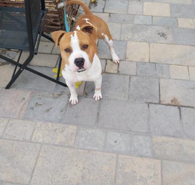 Colocation pour une personne