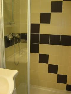 Très grande chambe avec salle de bain et wc privés à Ecully