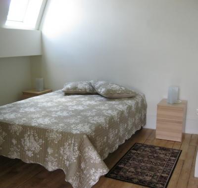 Très grande chambe avec salle de bain et wc privés à Ecully