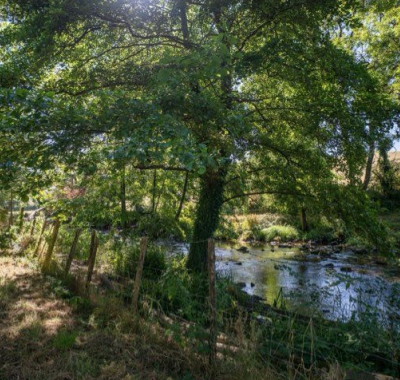 Emplacements à l'ombre pour tentes à 500m du Hellfest