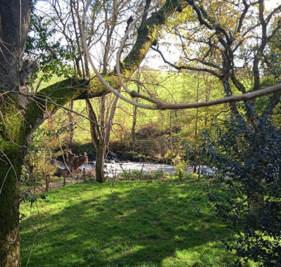 Emplacements à l'ombre pour tentes à 500m du Hellfest