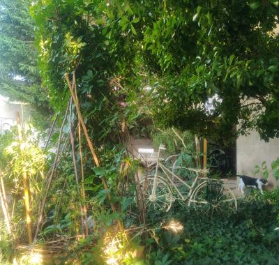 Chambre A   louer à Lattes