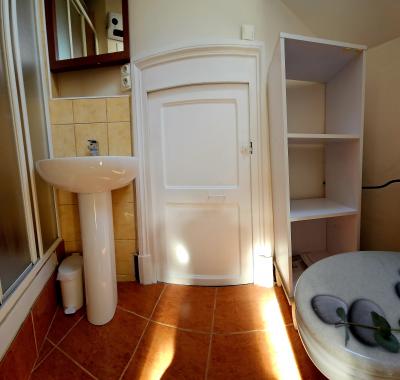 Chambre et sdb privative à Grenoble