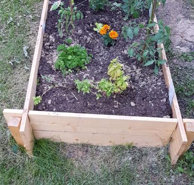 Chambre sympa dans une grande villa avec jardin et potager