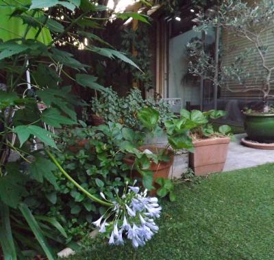 Chambre Nature chez l'habitant à Lattes