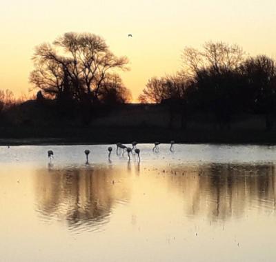 Chambre Nature chez l'habitant à Lattes