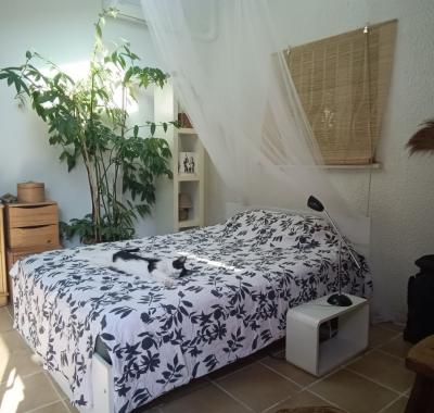 Chambre Nature chez l'habitant à Lattes